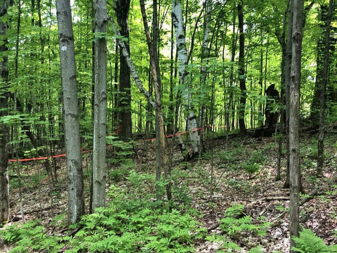 Property Photo: Lot 1 Mason Hill North 1 VT 05487