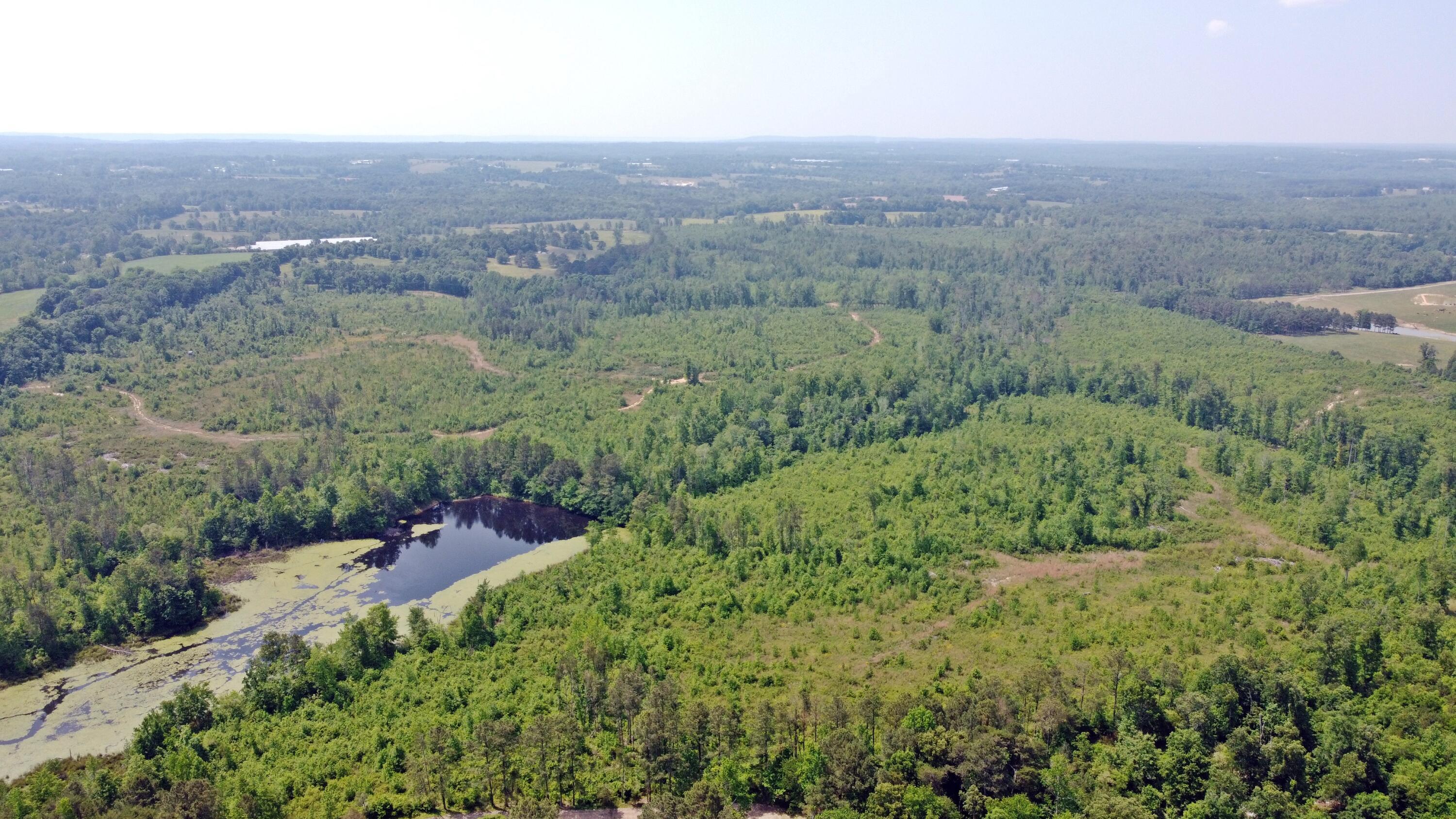Property Photo: 00 County Road 155 AL 35966