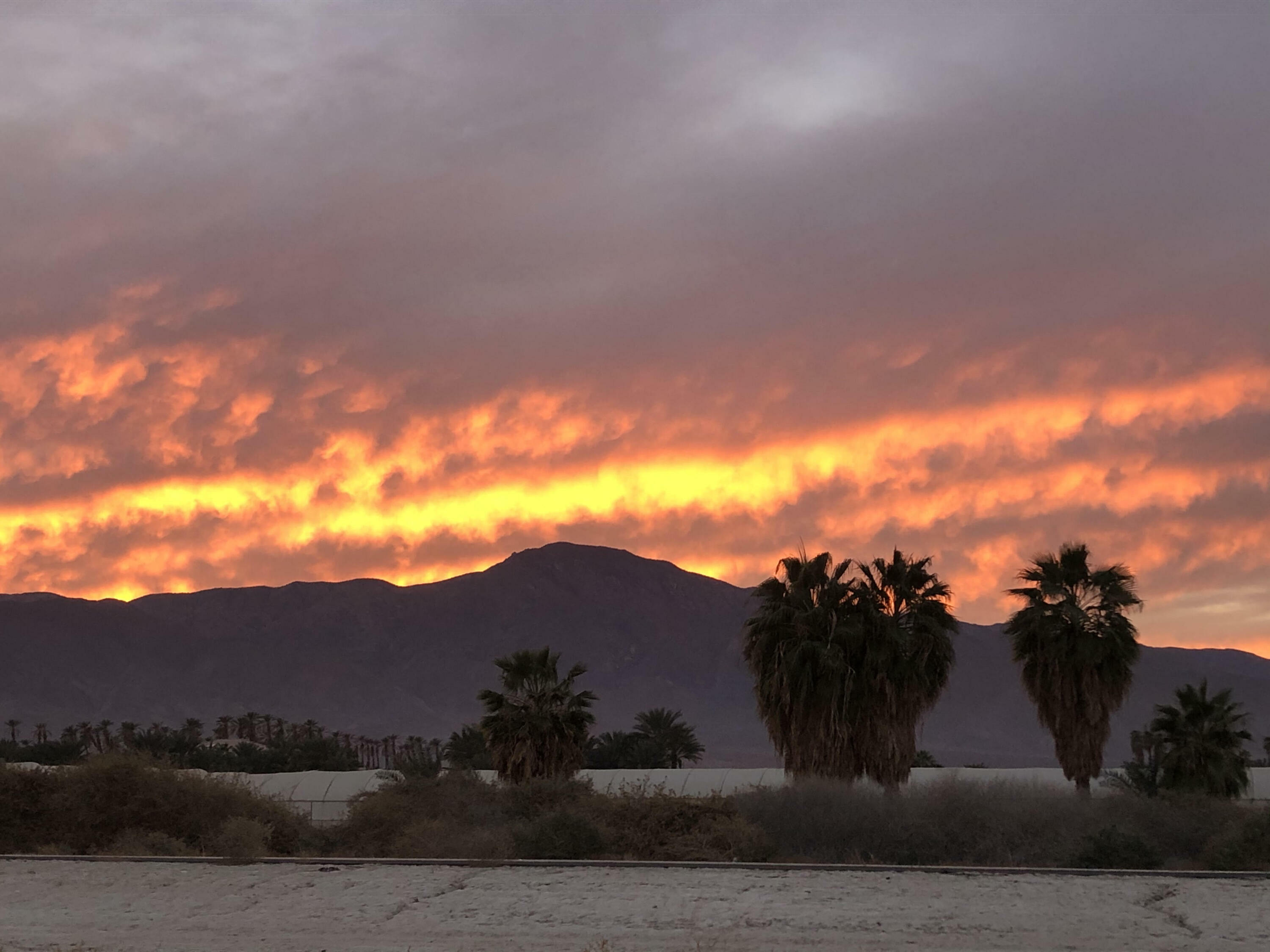 Property Photo: 2164 Salton Drive CA 92274