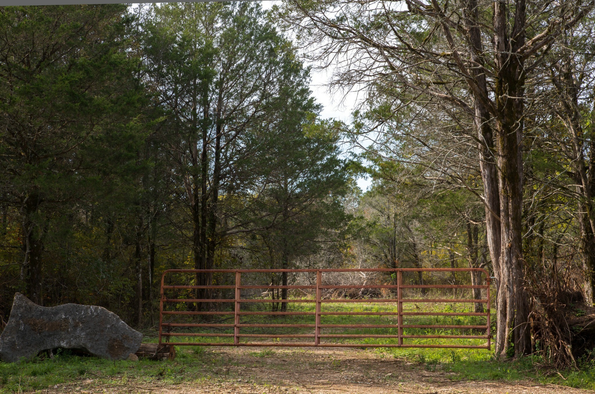 Property Photo: 0 Whitus Rd TN 37128