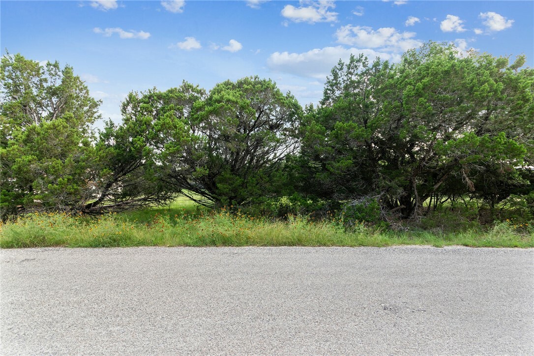 Property Photo:  45 Ridgewood Circle  TX 78676 