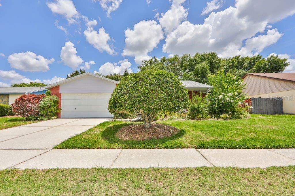 Property Photo:  12826 Tallowood Drive  FL 33579 