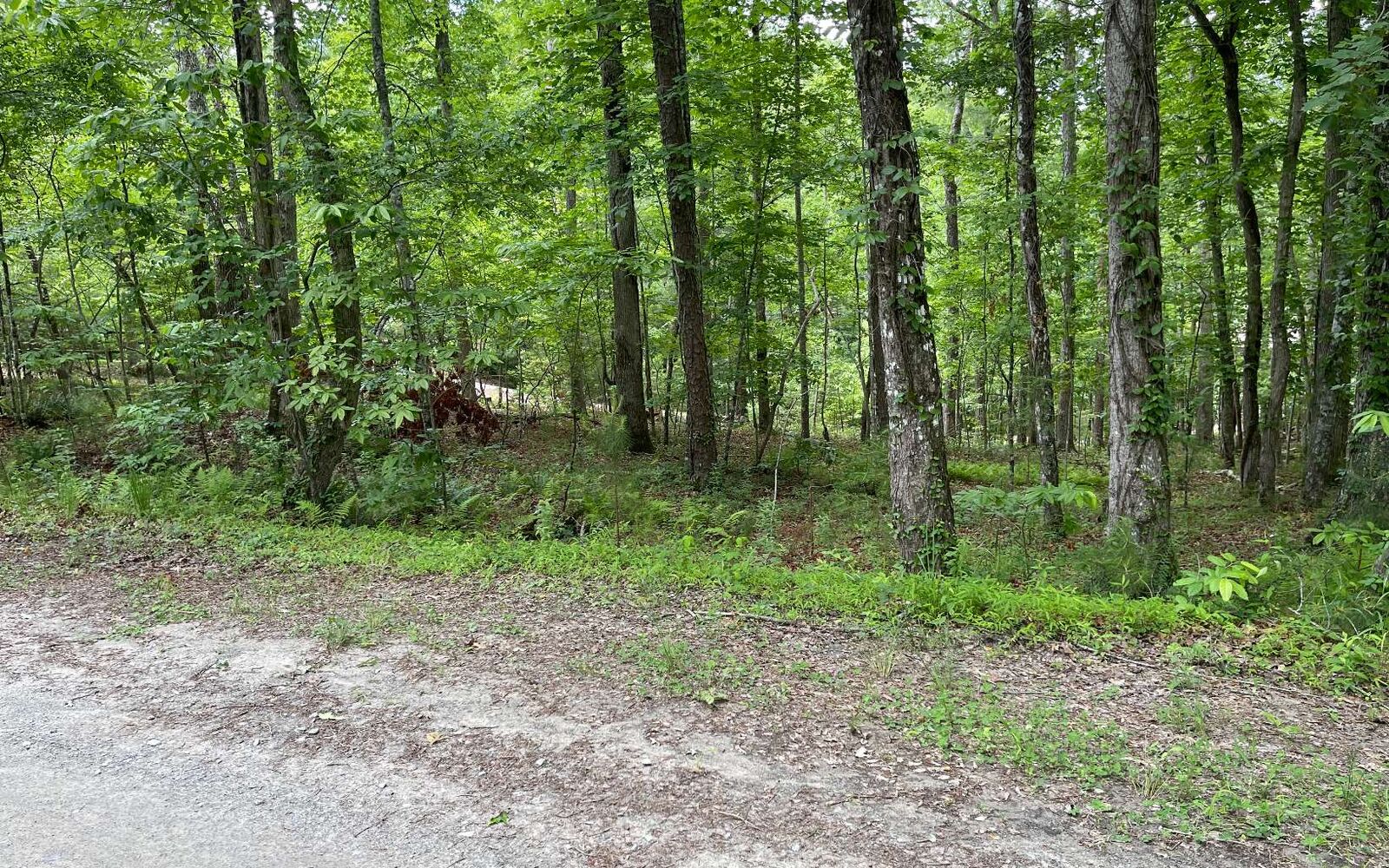Property Photo: Beacon Point Road GA 30560