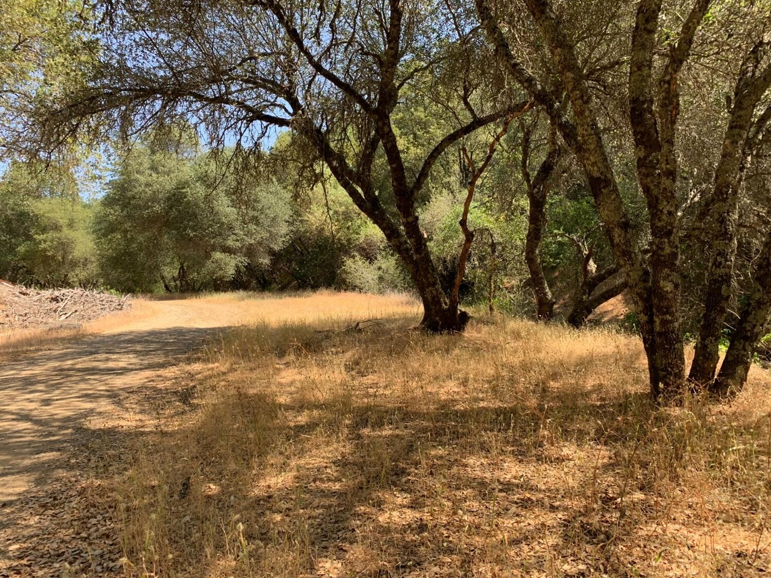 Property Photo: 20 Acres Union Mine Road CA 95619