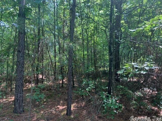 Property Photo:  9.92 Acres Oklahoma Inn Road  AR 72015 
