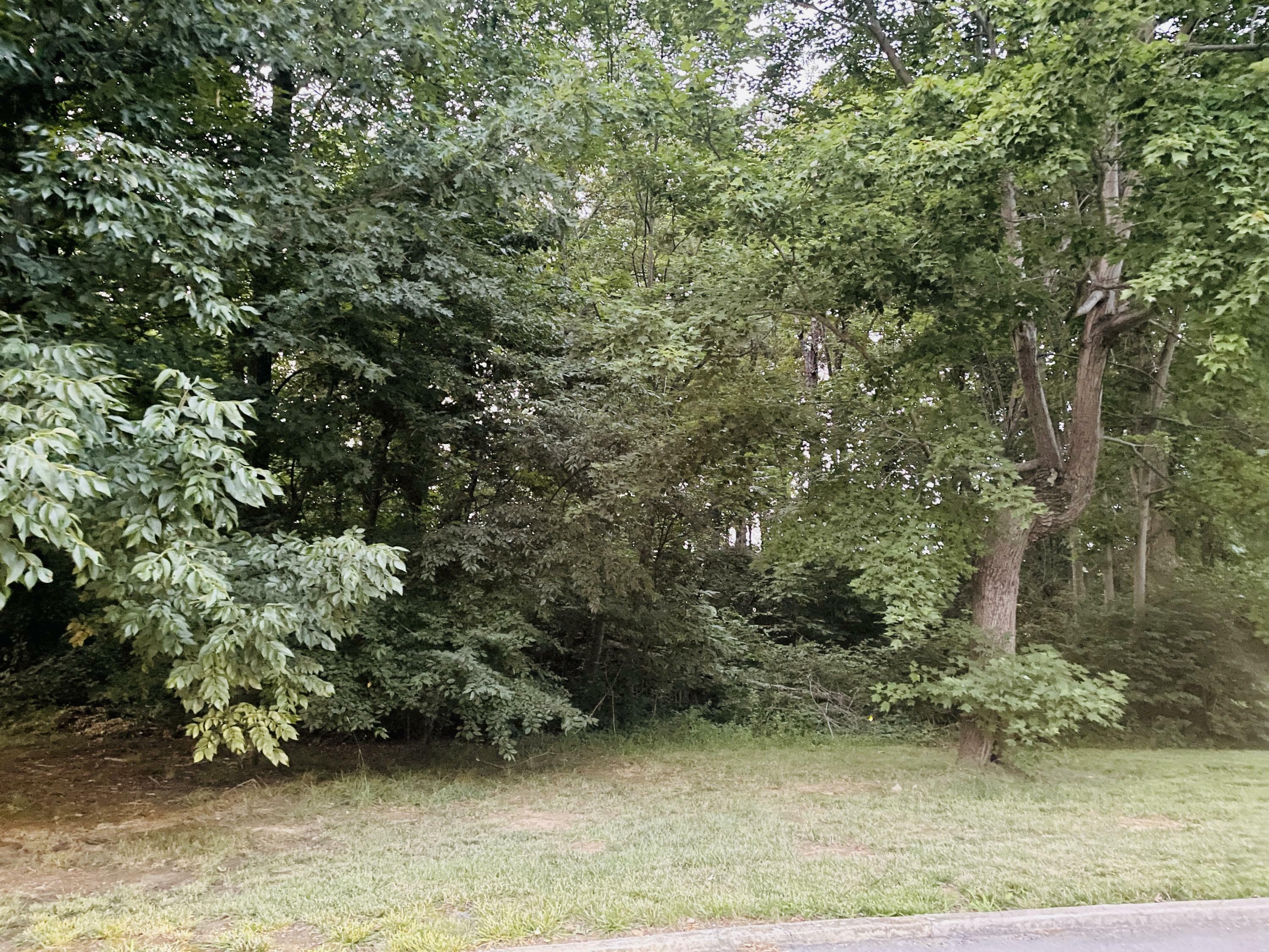 Property Photo:  000 Shelby Lane Lot# 11  KY 40484 