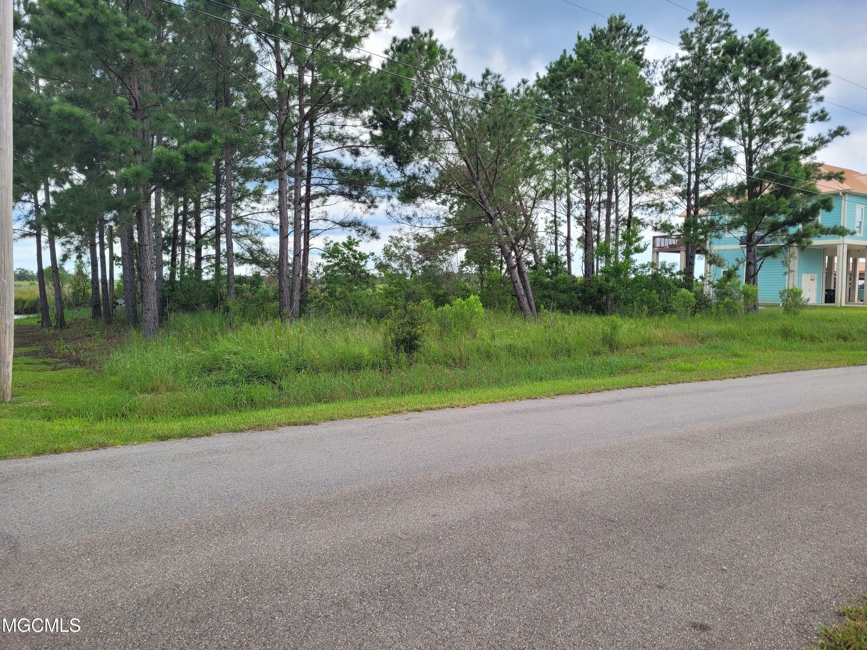 Lot 1 Old Lazy River Road  Bay Saint Louis MS 39520 photo