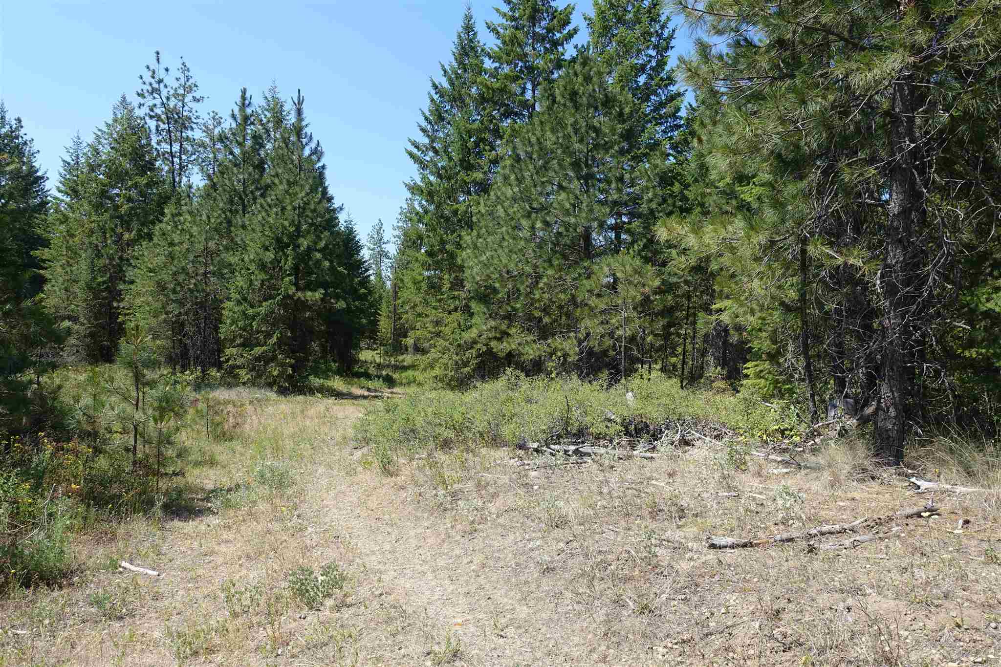 Property Photo:  Xx Chapin Rd  WA 99114 