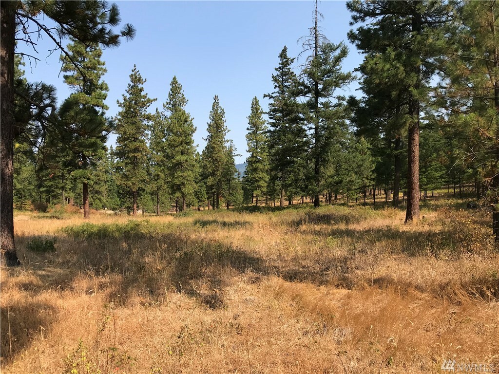 Property Photo:  Lot G Masterson Rd  WA 98922 