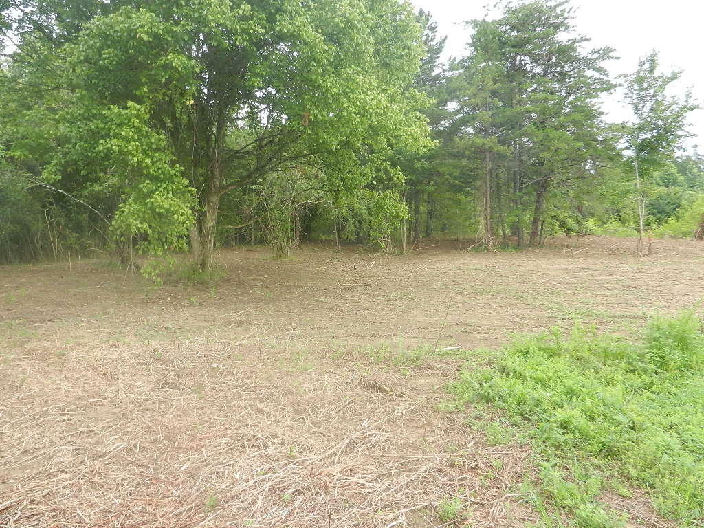 Property Photo:  Creekside Drive  TN 37748 