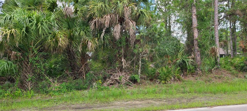 Property Photo:  Alesio Avenue  FL 34286 