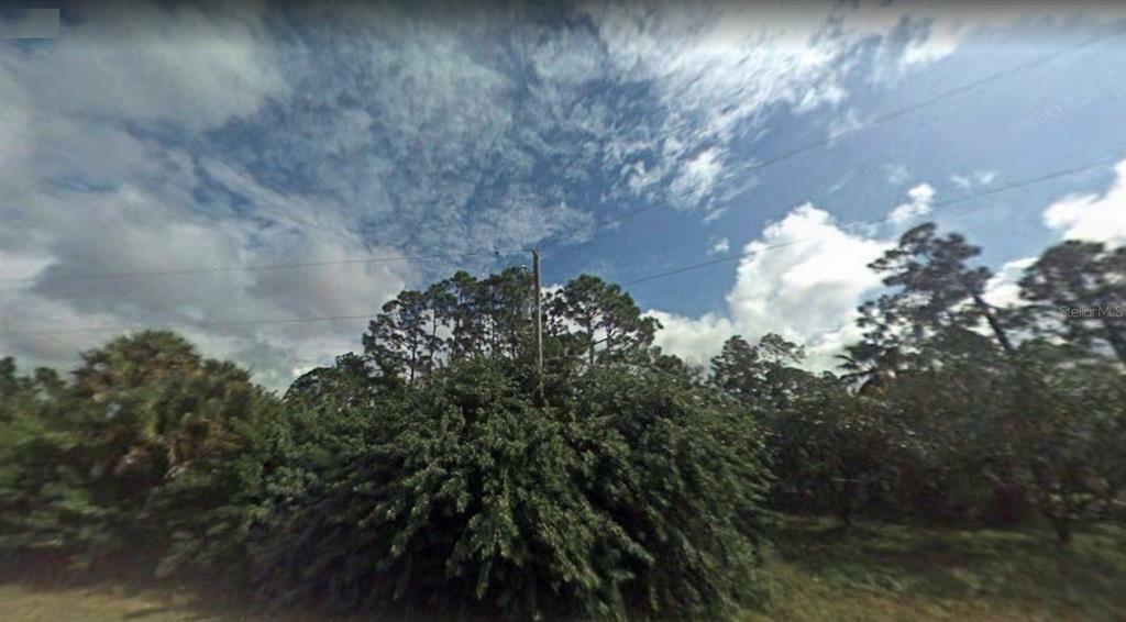 Property Photo: 13247 Santa Maria Drive FL 33955