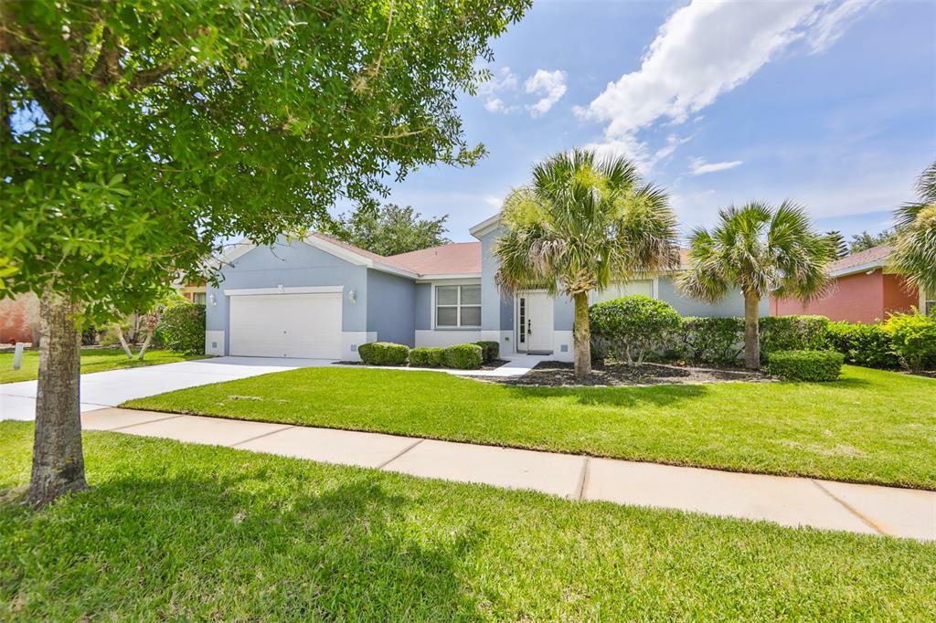 Property Photo:  11707 Holly Creek Drive  FL 33569 