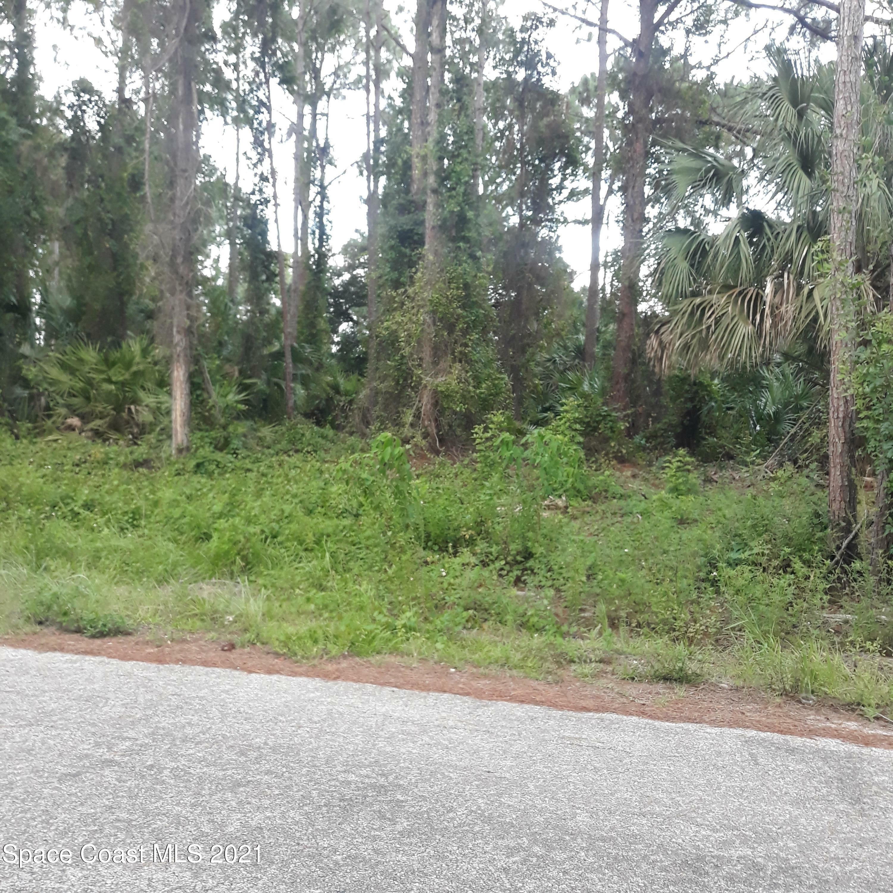 Property Photo:  243 Dobbins Road NW  FL 32907 