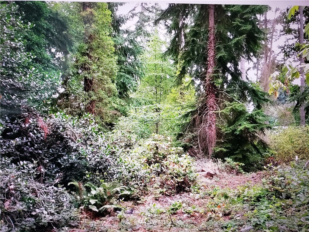 Property Photo: 317 Xx 51st Avenue SW WA 98023