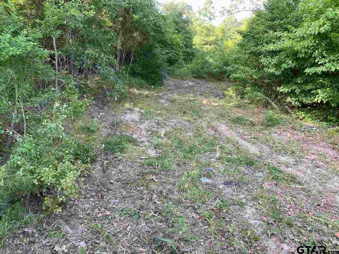 Property Photo:  247 County Road 3163  TX 75783 