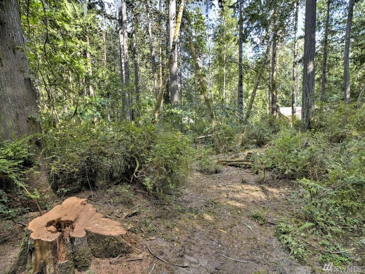 Property Photo: 684 E Portage Rd WA 98584