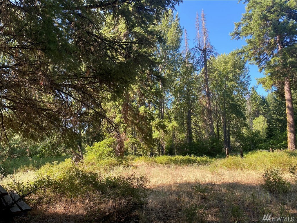 Property Photo:  2131 Teanaway Middle Fork Rd  WA 98922 