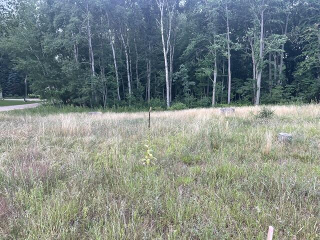 Property Photo: 11350 Old Pierce Road MI 49346