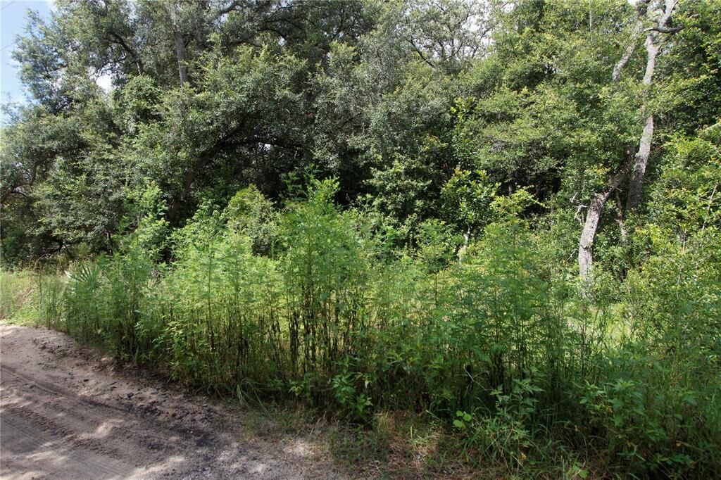 Property Photo:  Oakridge Drive  FL 32159 