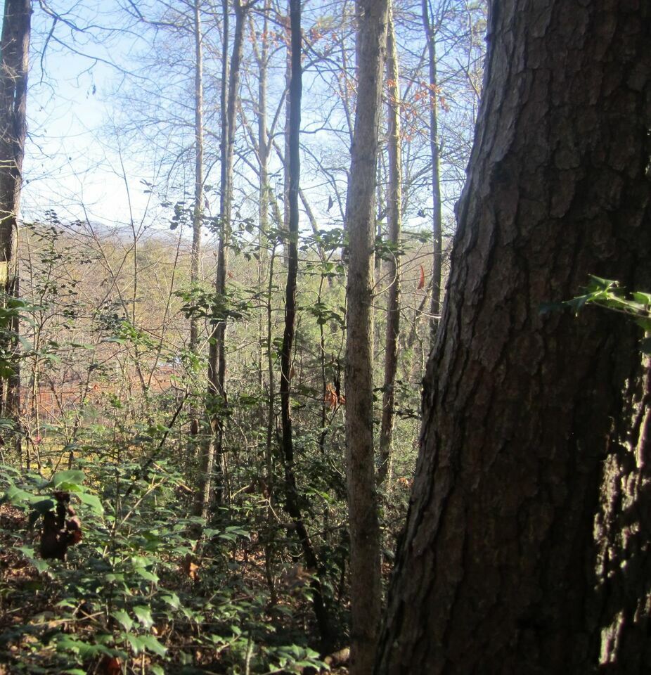 0 Newton Circle 1.68 Ac  Blairsville GA 30512 photo