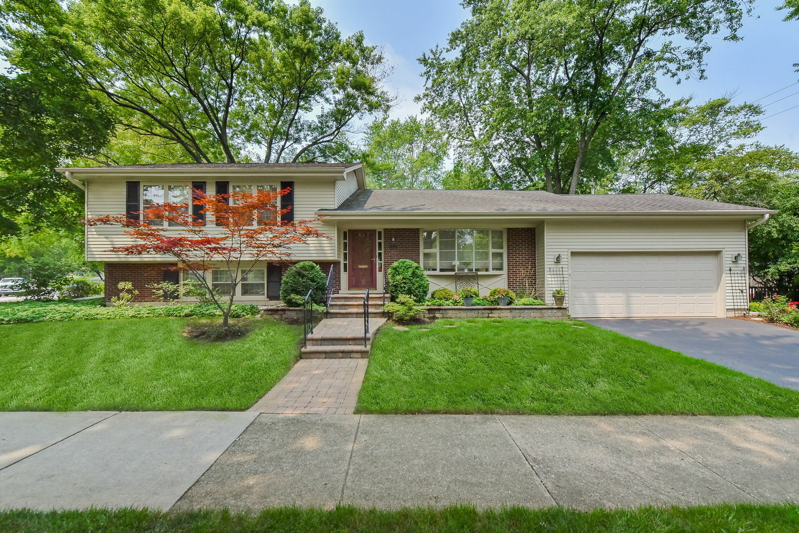 Property Photo:  1129 Catalpa Lane  IL 60540 