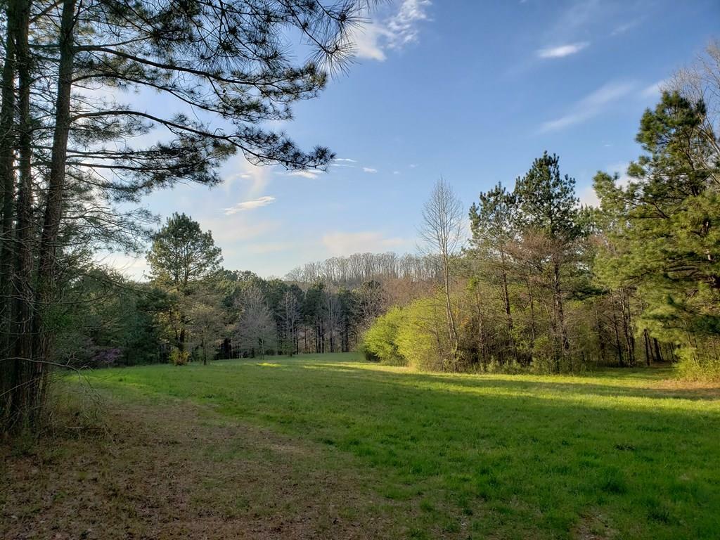 Property Photo:  0 Mill Creek Road  GA 30740 