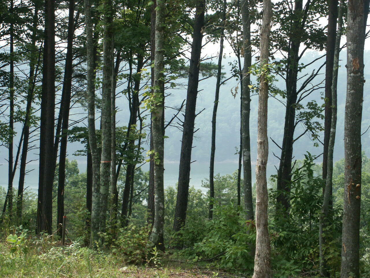 Property Photo: 9 Briarwood KY 42642