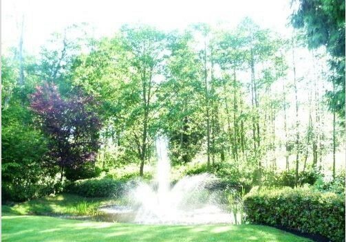 Property Photo: 0 Semiahmoo Parkway WA 98230