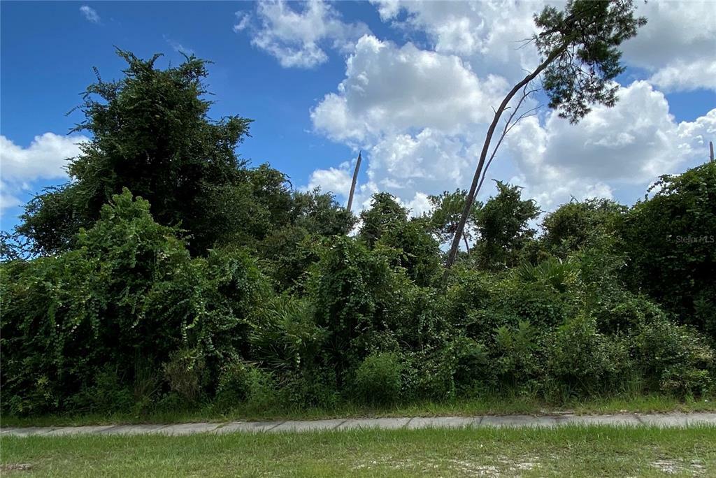 Property Photo:  2739 N Juliet Drive  FL 32738 