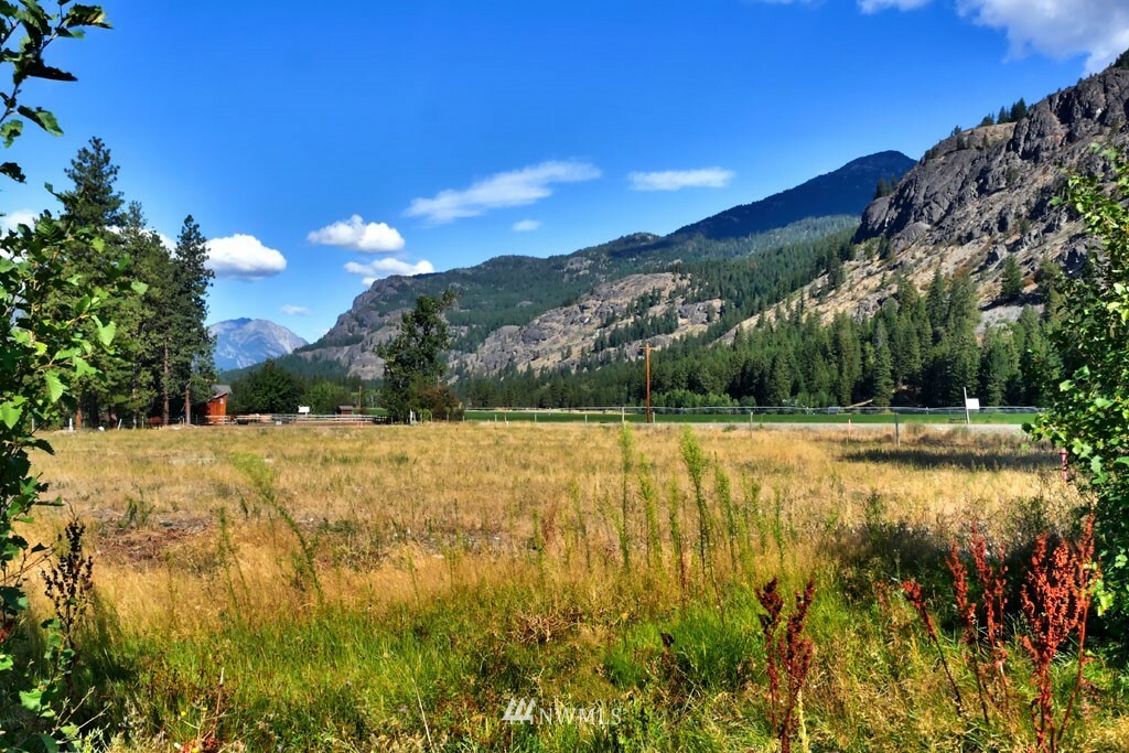 Property Photo:  421 Goat Creek Road  WA 98833 