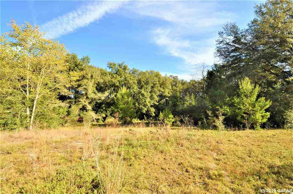 Property Photo:  0000 SW 179th Place  FL 32601 