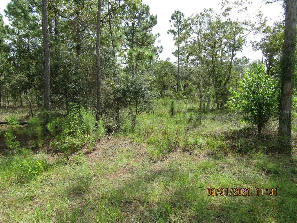 Property Photo:  Crocus Lane  FL 34431 