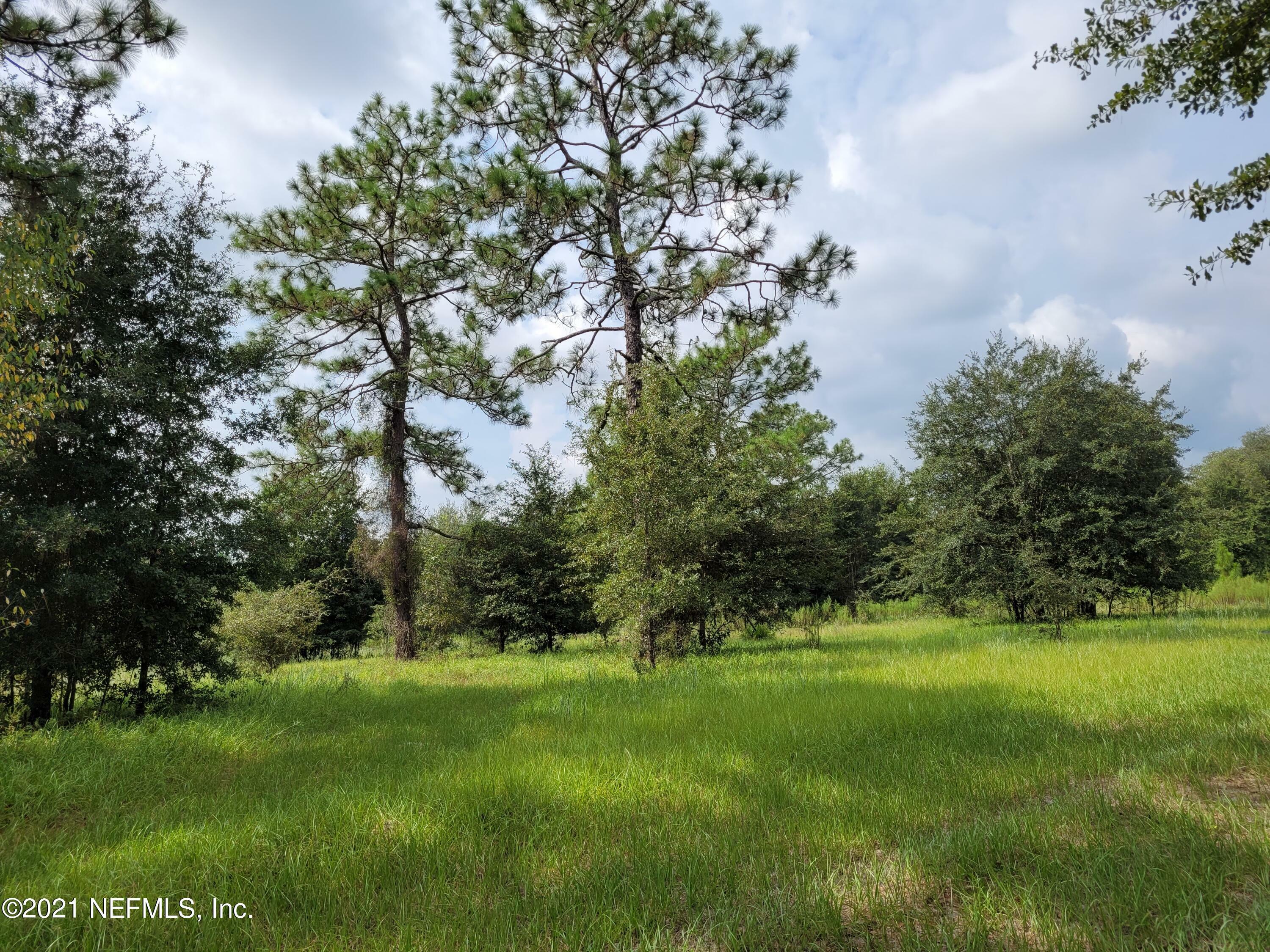 Property Photo:  1050 Live Oak Lane  FL 32068 