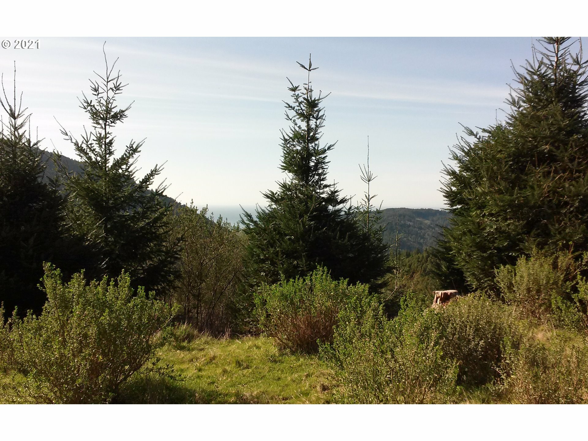 Property Photo: Euchre Creek Rd OR 97464