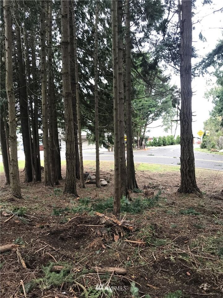 2876 Leeward Way  Bellingham WA 98226 photo