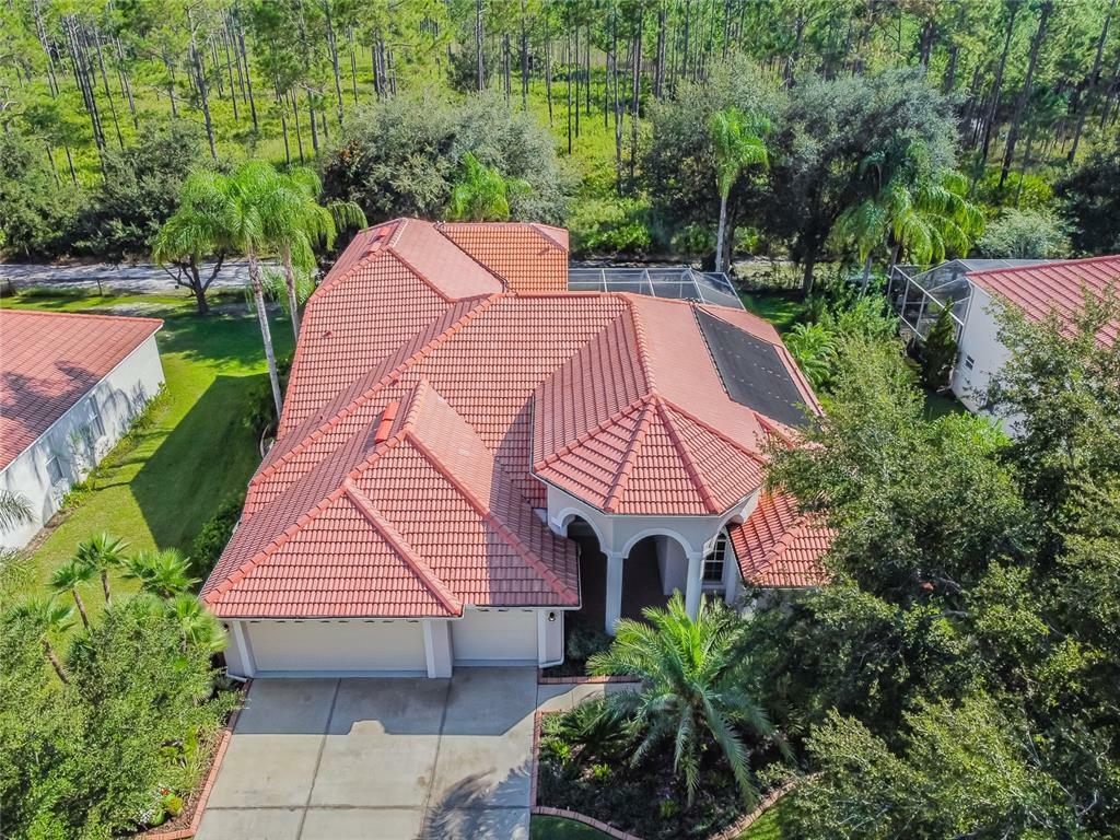 Property Photo:  17852 Arbor Greene Drive  FL 33647 