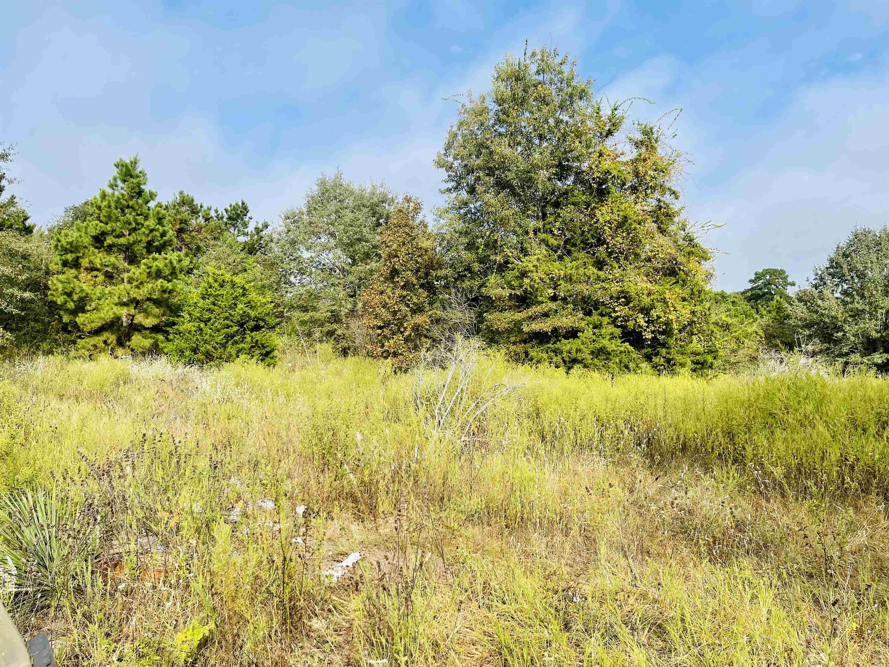 Property Photo:  Tbd Cr 3427  TX 75765 