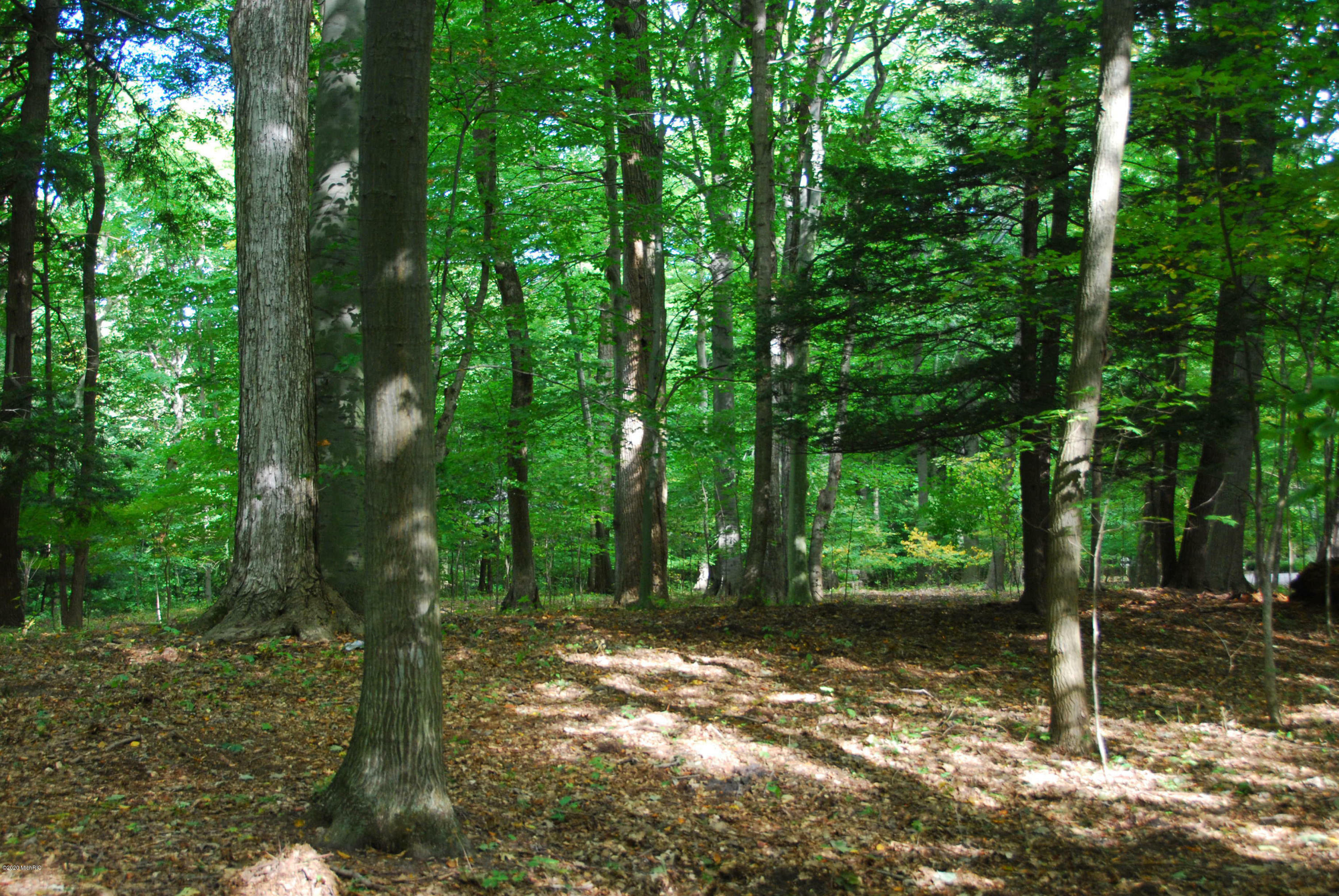 Property Photo:  Lot 39 Beech Drive  MI 49090 