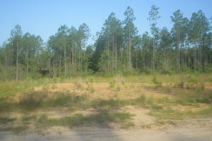 Property Photo:  Lot 14 Goodeaux Rd  LA 70652 