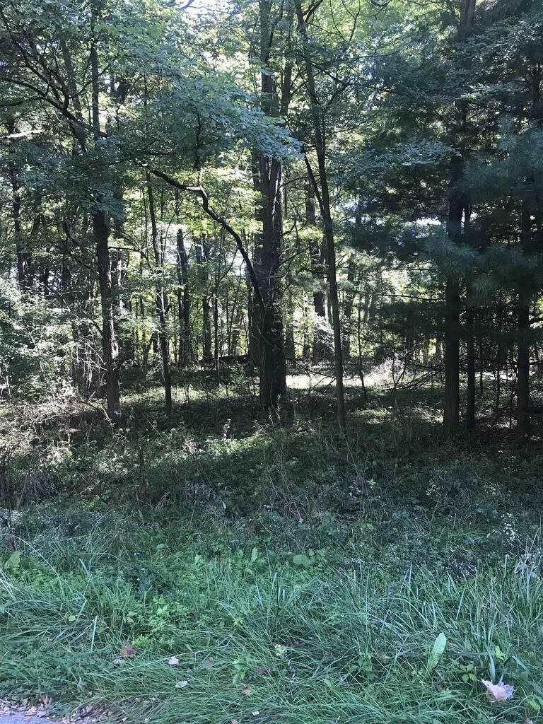 Property Photo:  70 Oak Ridge Pass  WI 53913 