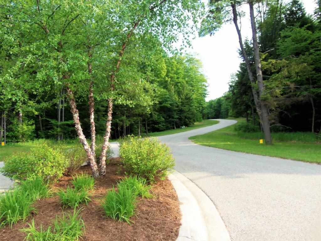 Property Photo:  8171 Pleasantview Woods Lot 46  MI 49740 