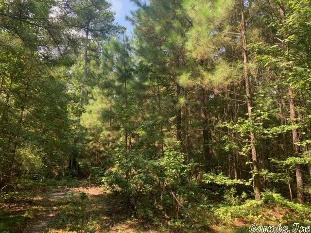 Property Photo: Lot 8 Oklahoma Inn Road AR 72015