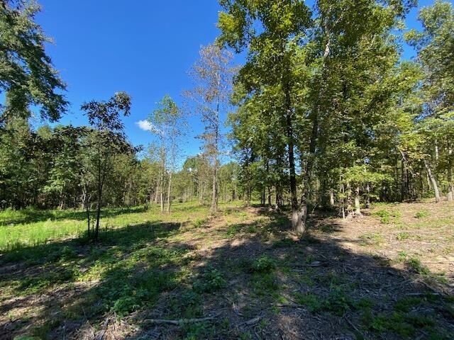 Property Photo:  0 St Marks Road  GA 30230 