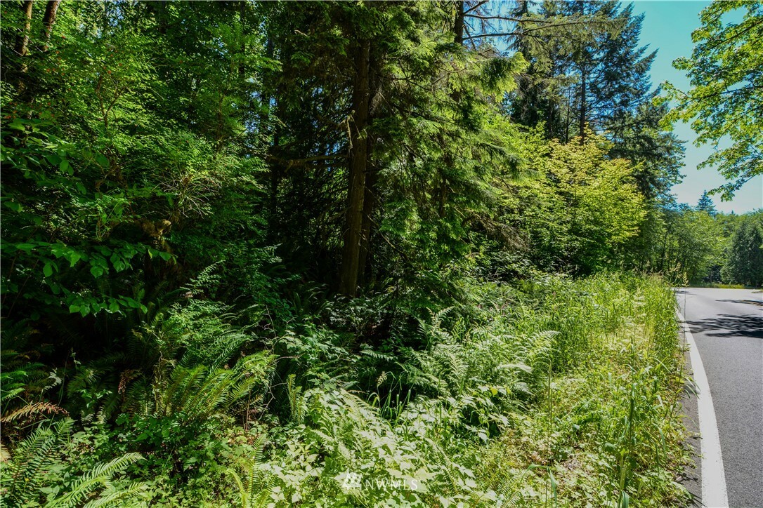 Property Photo:  238 Xx NE Old Woodinville Duvall Road  WA 98077 