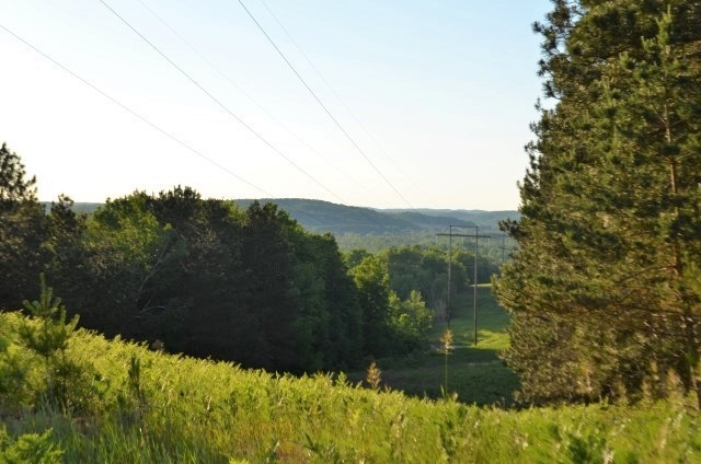 Property Photo: Tbd Rogers MI 49727