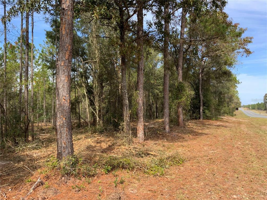 Property Photo:  Tbd N US Hwy 129 Highway  FL 32619 