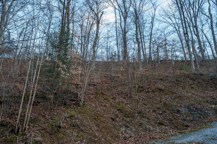 Property Photo: Dunn Hollow Road TN 37862