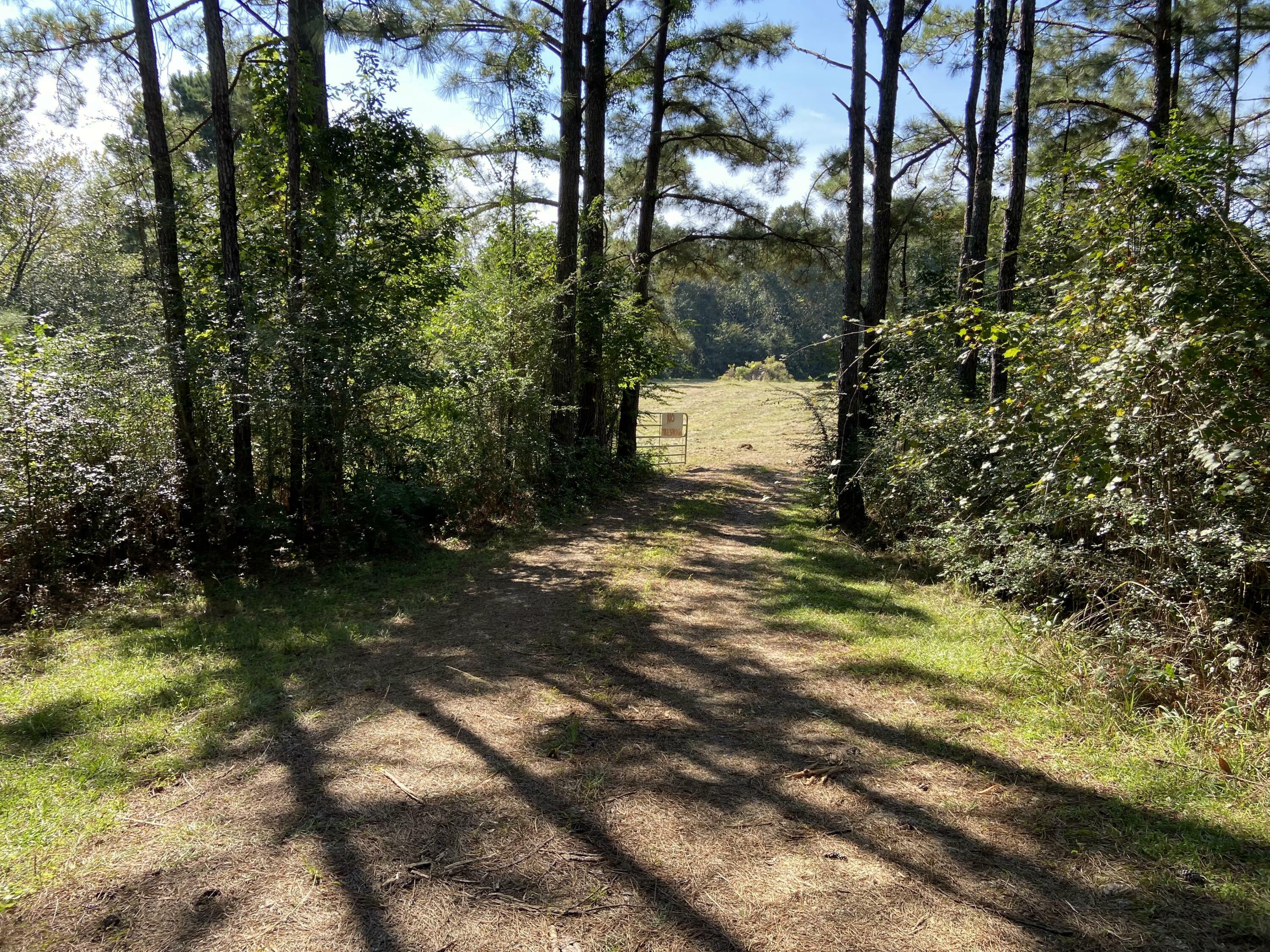 Property Photo:  190 W W Wire Road  MS 39573 