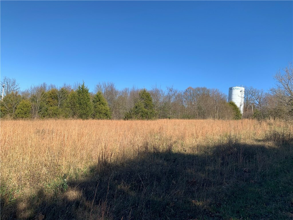 Property Photo: Tract 1 Hwy 37 MO 65745